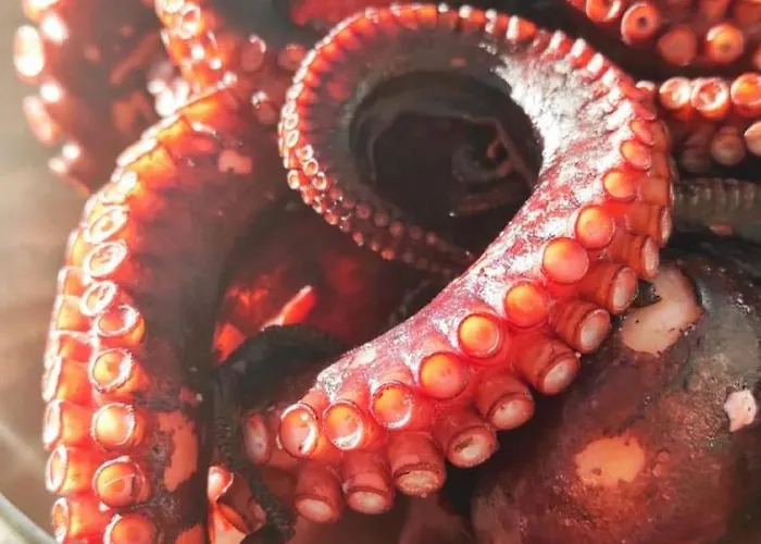 Fabiene Familyholidays Deluxe 아파트 체팔루